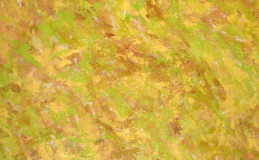 081007 0076 JK painting in classroom ED
