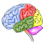Brain-Wise Pathways in Play Therapy with Bonnie Badenoch